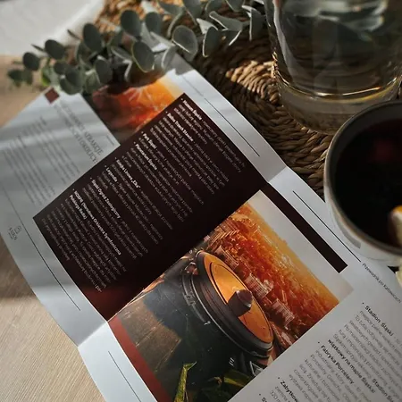 Kairos - Zabrska 15 - Darmowy Podziemny Parking, Klimatyzacja Apartmán